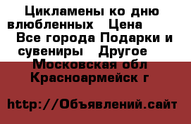 Цикламены ко дню влюбленных › Цена ­ 180 - Все города Подарки и сувениры » Другое   . Московская обл.,Красноармейск г.